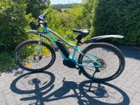 Bulls Aminga E1 Damen E-Mountainbike Wuppertal - Langerfeld-Beyenburg Vorschau