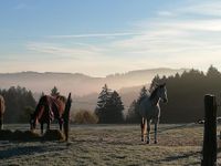 Bauernhöfe, Resthöfe und Bauernhäuser um Siegen gesucht! Nordrhein-Westfalen - Siegen Vorschau