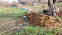 Pferdemist für  Garten kostenlos abzugeben! Ubstadt-Weiher - OT Stettfeld Vorschau