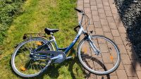 NSU Damen Fahrrad Citybike 28 Zoll, 7 Gang Sram, WIE NEU Bayern - Bad Grönenbach Vorschau