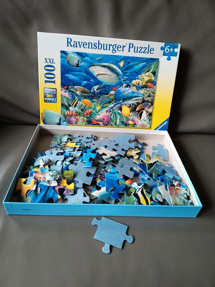 Puzzle Drei Fragezeichen ??? Kids und Hai Riff Puzzel in Bonn