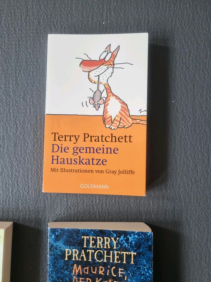 Terry Pratchett diverse Bücher in Bielefeld