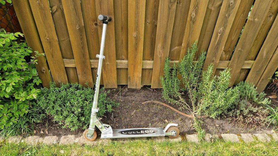 Colledo City-Roller in Schüttorf