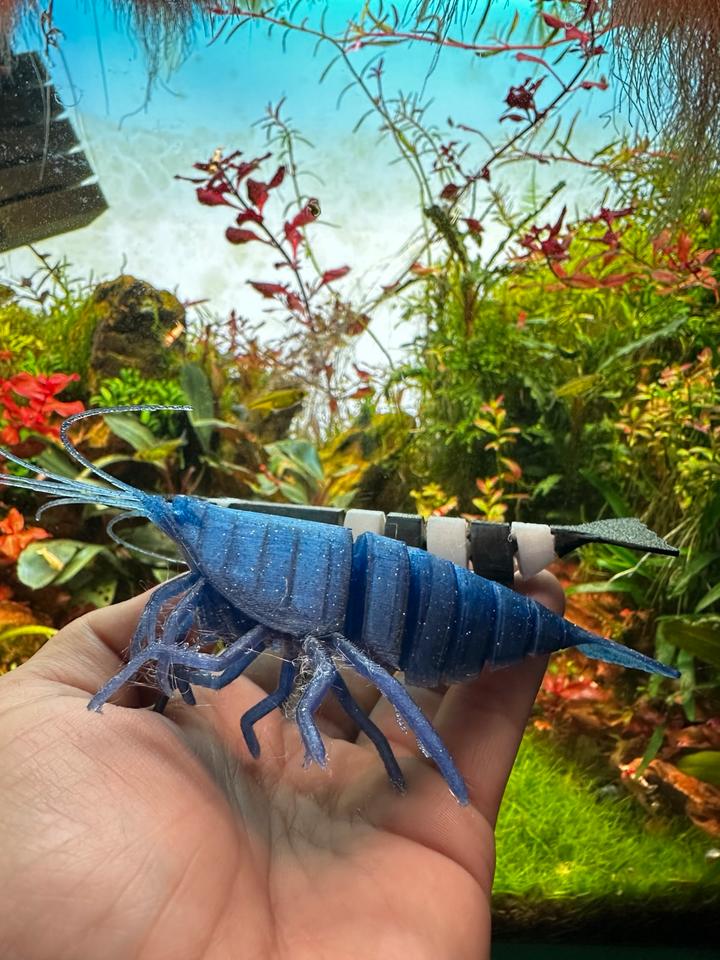 3D Garnele Caradina Neocaradina im Aquarium leben aus Kunstoff in Dietzhölztal