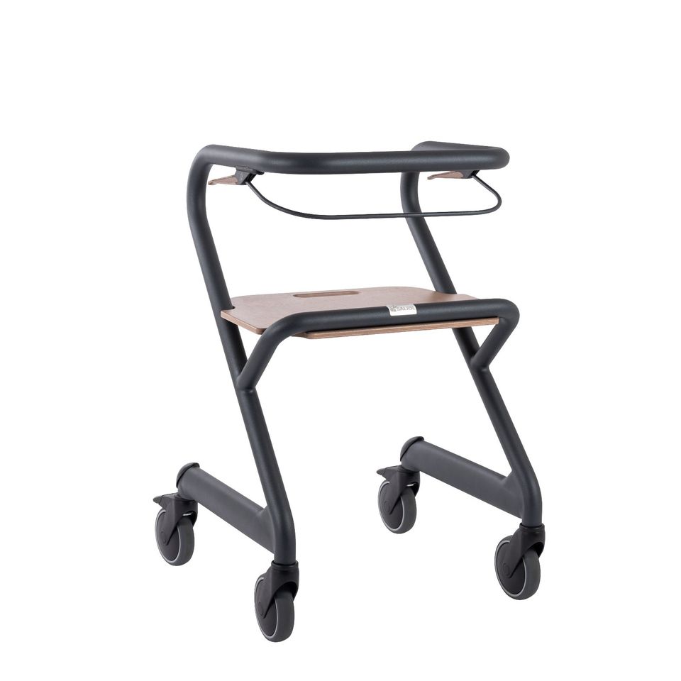 SALJOL Wohnraum Rollator WR55 Velvet Grey in Dülmen