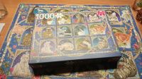 1000 Teile Puzzle Jumbo Katzen Nordrhein-Westfalen - Ennepetal Vorschau