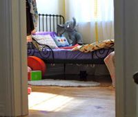 Ikea Minnen, „mitwachsendes“ Kinderbett in Schwarz Rheinland-Pfalz - Mainz Vorschau