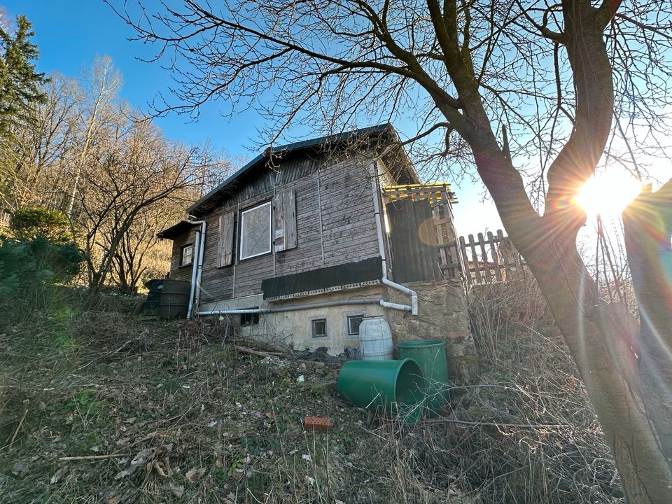 Idyllischer und ruhig gelegener Garten in Glashütte abzugeben in Glashütte