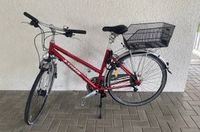 Damen Fahrrad 28" Baden-Württemberg - Meckenbeuren Vorschau