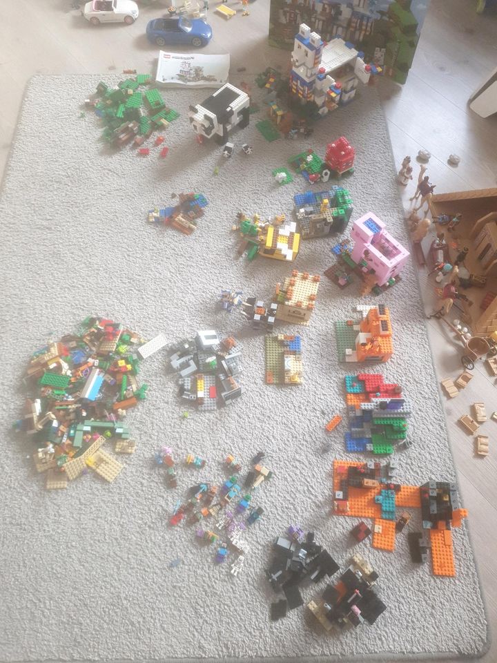 Lego Minecraft  verschiedene Modelle in Rendsburg