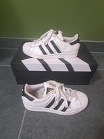 Adidas Superstars - Größe 36 Herzogtum Lauenburg - Geesthacht Vorschau