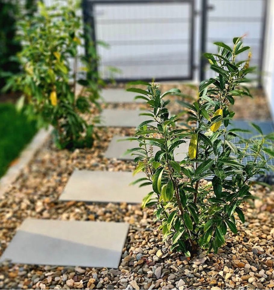 Gartenbau, Terrasse, Pflastern, Pool, Zaunbau, Baudienstleistung in Erlangen