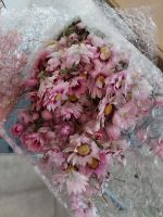 Getrocknete Blumen Ziergras und Streudeko Nordrhein-Westfalen - Wadersloh Vorschau