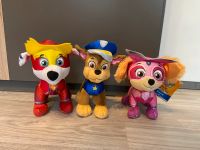 Paw Patrol Fellfreunde Dortmund - Lütgendortmund Vorschau