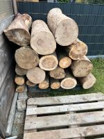 SUCHE       Brennholz Kaminholz Feuerholz 1 Meter Stücke Kiel - Elmschenhagen-Kroog Vorschau