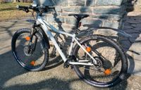 Mountainbike Damen, Hardtail, Carver Strict Lady 800, 29" Sachsen - Chemnitz Vorschau