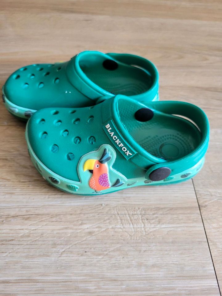 Kinder Crocs Größe 21 in Reinbek