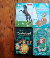Verschiedene Jugendbücher Sachsen - Rabenau Vorschau