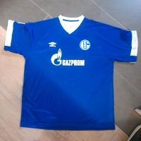 Schalke 04 Trikot Hessen - Nieste Vorschau