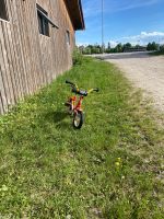 Puky Kinderfahrrad 12 Zoll rot München - Bogenhausen Vorschau