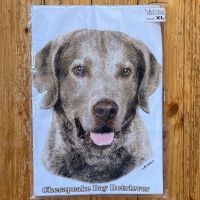 T-Shirt Chesapeake Bay Retriever XL Hessen - Bad Vilbel Vorschau