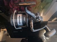 Daiwa Regal 5400 BRI Freilaufrolle bespult. Nordrhein-Westfalen - Kranenburg Vorschau