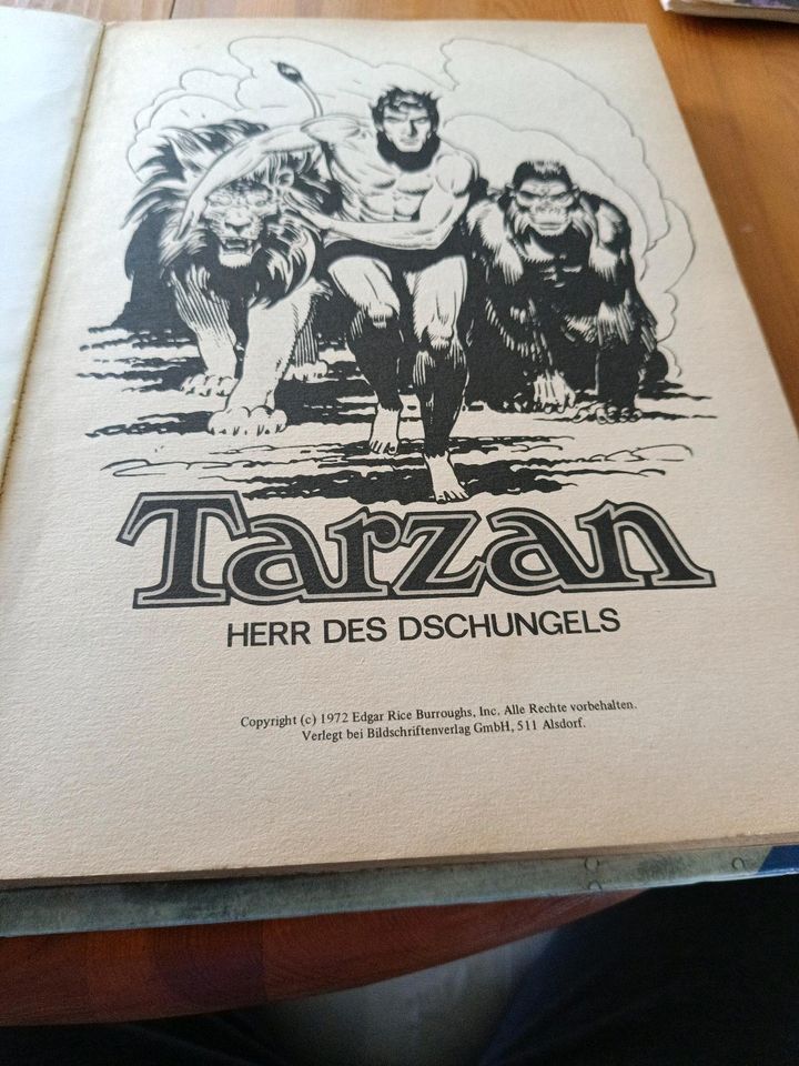 Tarzan Comic in Büren