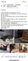 Katze vermisst Mecklenburg-Vorpommern - Torgelow Vorschau