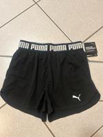 Puma Shorts Saarland - St. Wendel Vorschau