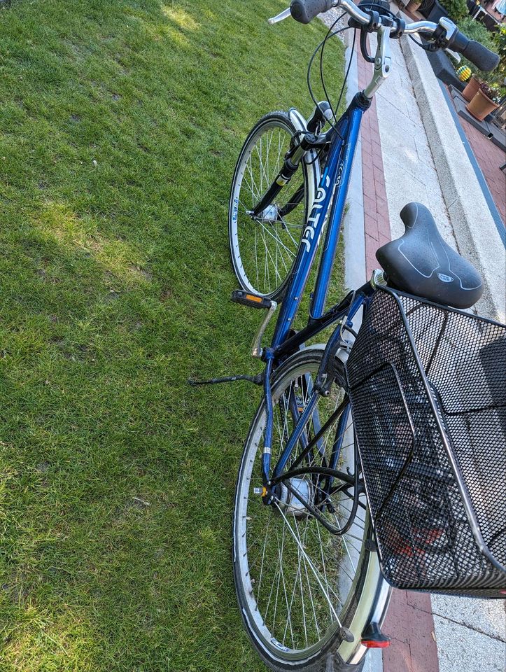 Damen Fahrrad in Kremperheide