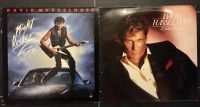 David Hasselhoff Vinyl Knight Rocker & Lovin Feelings Schleswig-Holstein - Remmels Vorschau