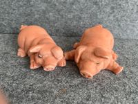 zwei Schweinchen liegend aus Kunstharz ca. 8 cm lang Wandsbek - Hamburg Marienthal Vorschau