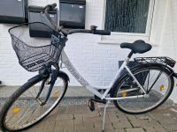 Damenrad Cityrad Prophete 28 Zoll weiß Nordrhein-Westfalen - Versmold Vorschau