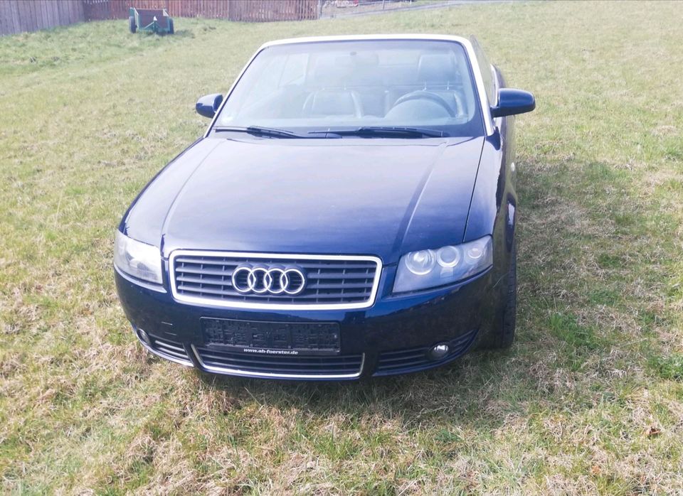 Audi Cabrio in Moringen