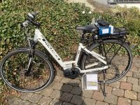 Damen E-BikeDYNAMICS Rheinland-Pfalz - Ulmen Vorschau