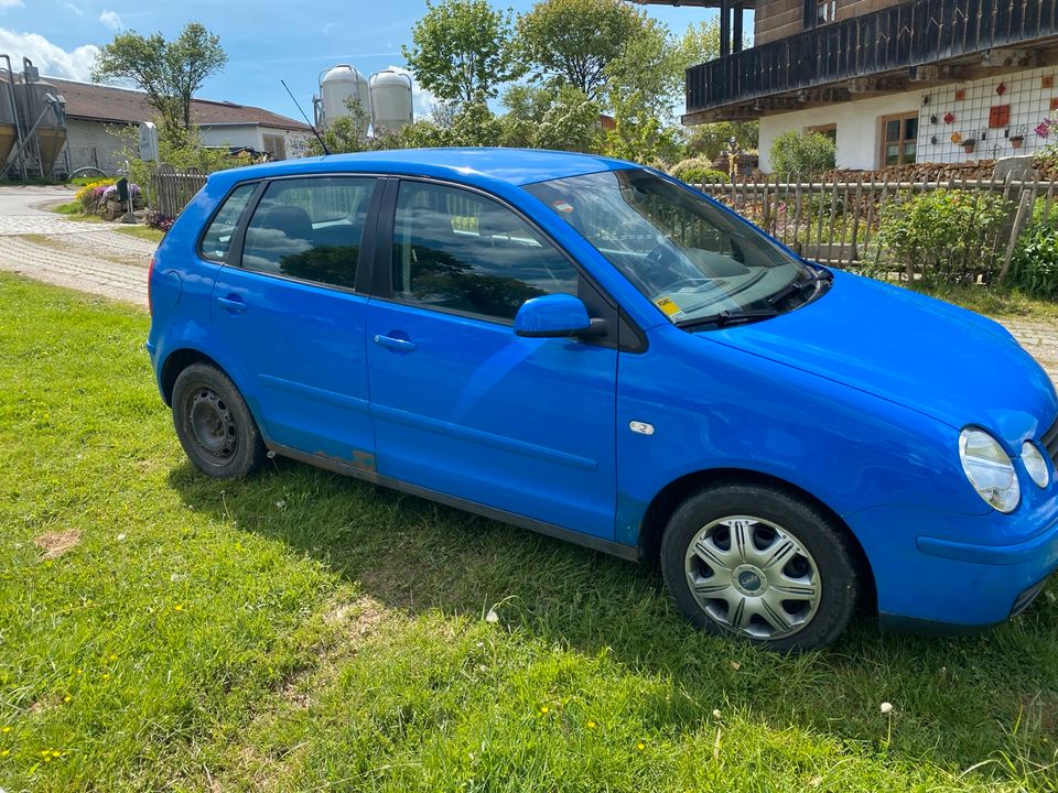 VW Polo alt blau in Rinchnach