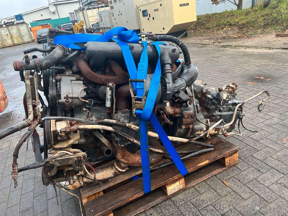 Mercedes Motor OM366A Unimog MB Trac LKW Motor in Dänischenhagen