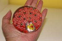 Millefiori Briefbeschwerer Edel Rot vintage 397 gram Niedersachsen - Emden Vorschau