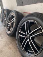 Alufelgen RC Brock 17“ Falken Sommerreifen VW, Audi,Seat,Skoda Bayern - Bad Neustadt a.d. Saale Vorschau