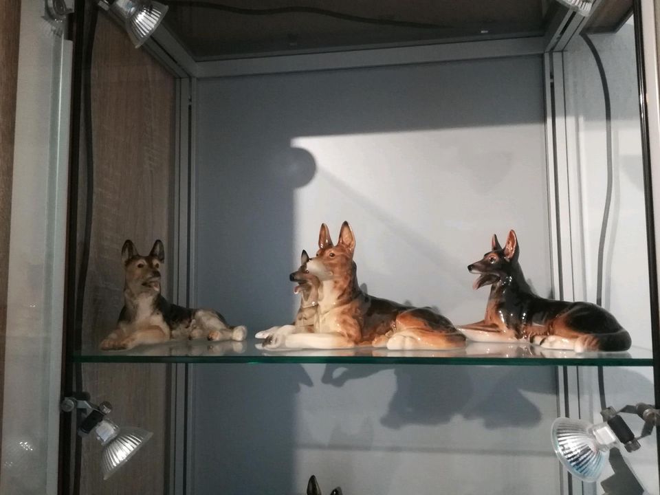 15 St. Schäferhund Porzellan Goebel Cortendorf Hund in Wriedel