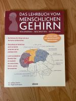 Lehrbuch Gehirn Köln - Lindenthal Vorschau