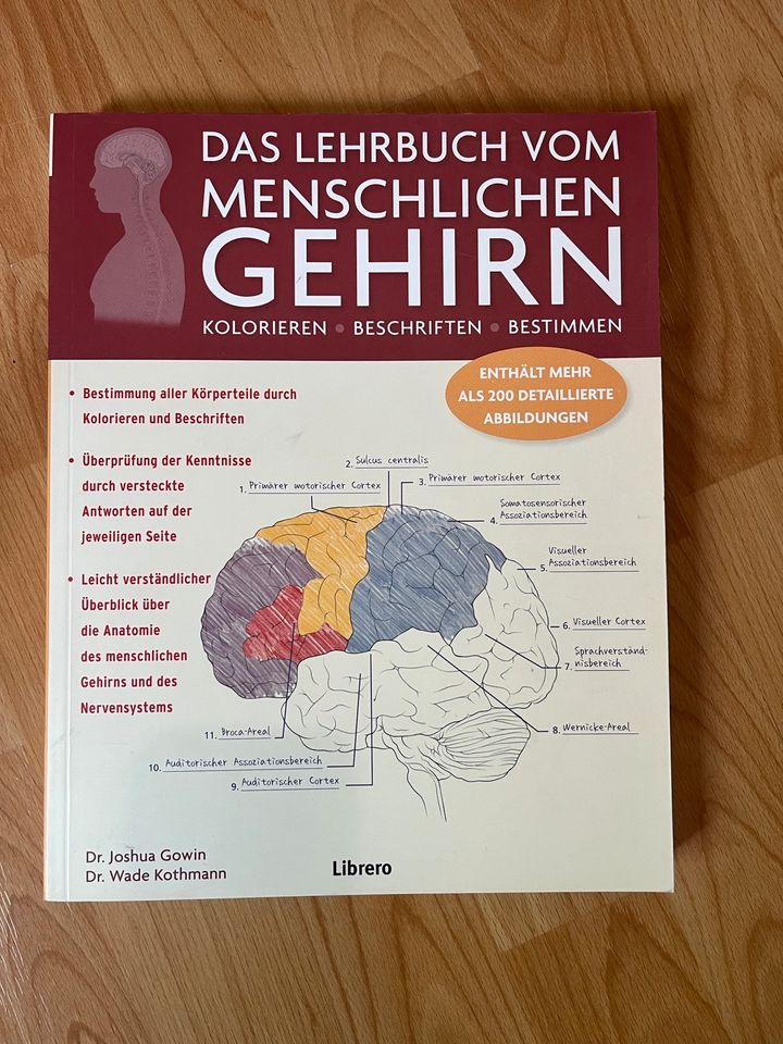 Lehrbuch Gehirn in Köln