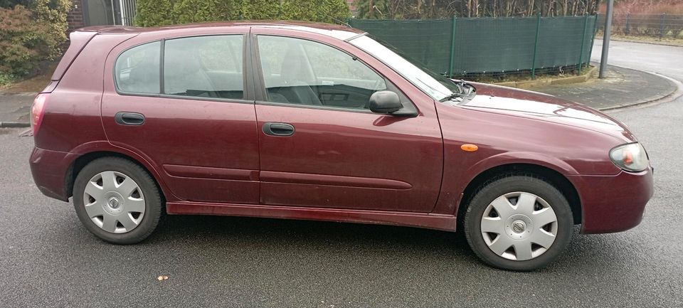 Nissan Almera 1.5 Acenta in Köln