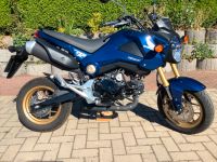 Honda MSX Grom Rheinland-Pfalz - Lützkampen Vorschau