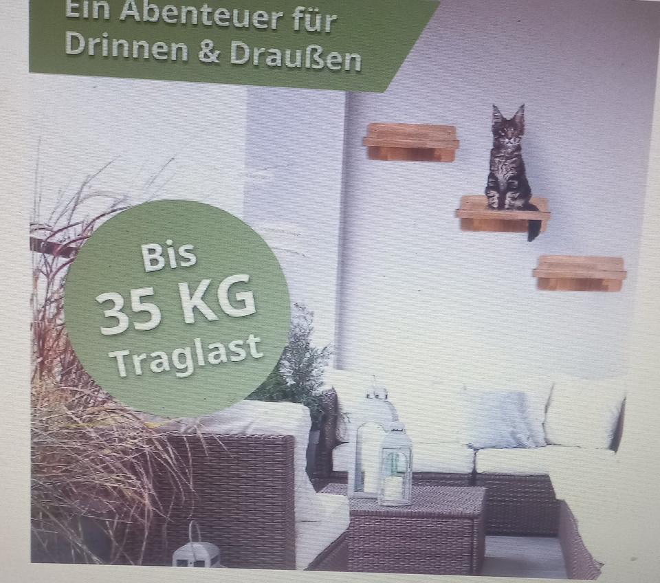 Katzenwand Klettern | Catwalk Katze | Katzen Wand Klettern | XL in Berlin