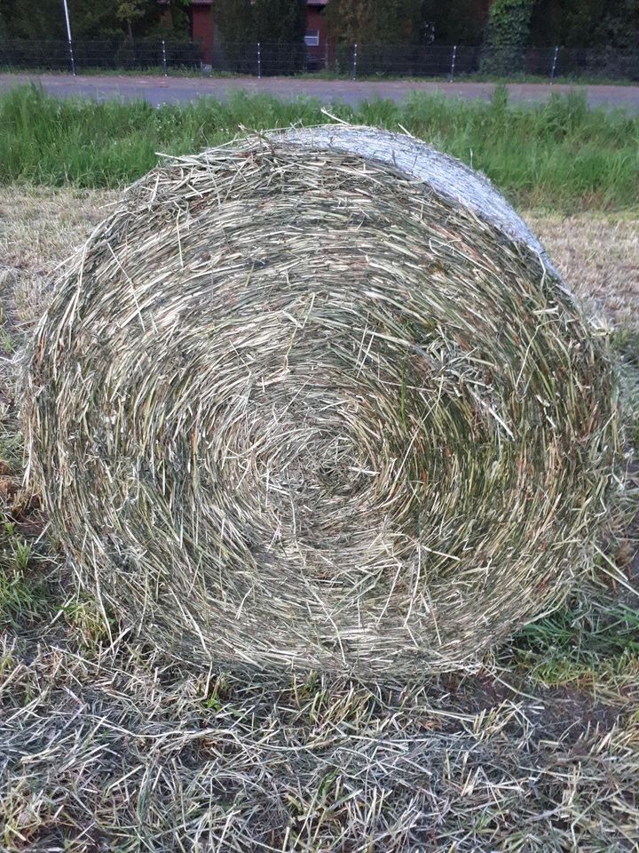 Heulage Rundballen aus Mai 24 in Stolzenau