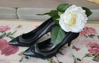Frauenschuhe in Größe 36 Frankfurt am Main - Bergen-Enkheim Vorschau