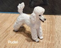 Schleich Hund,Pudel, Husky,Schäferhund Mecklenburg-Vorpommern - Bütow Vorschau