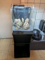 Aquarium 60 l Fluval Flex Unterschrank Filter chihiros led Nordrhein-Westfalen - Ruppichteroth Vorschau