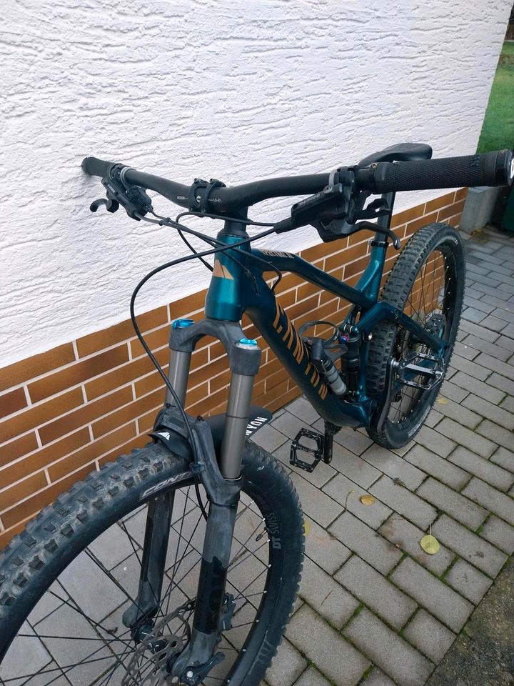 Fahrrad Canyon Spectral AL 6.0 in Burgsinn